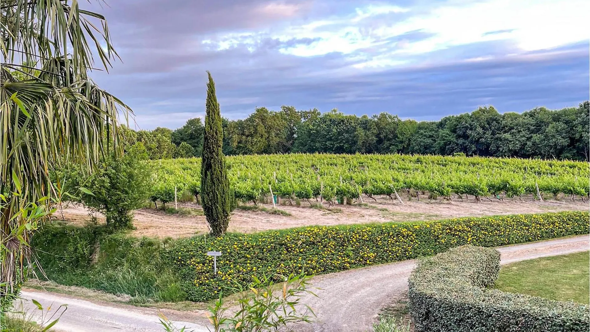 Awesome Apartment In Mauleon Darmagnac With Wifi França